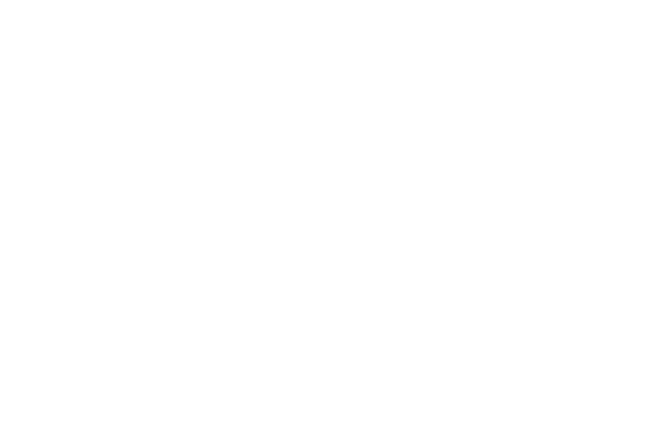 dom zelittus